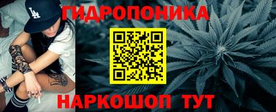 дживик Сланцы